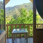 Turkuaz Çıralı