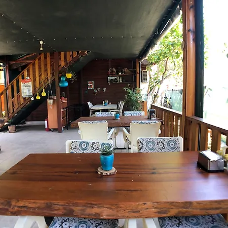 Turkuaz 3*