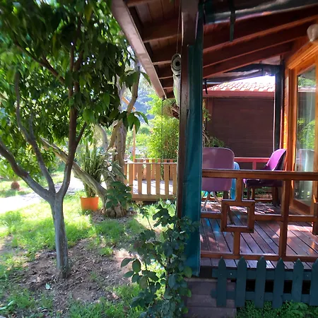 Casa de hóspedes Turkuaz