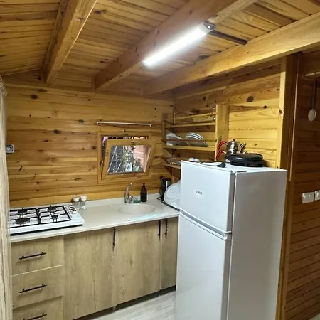 Turkuaz