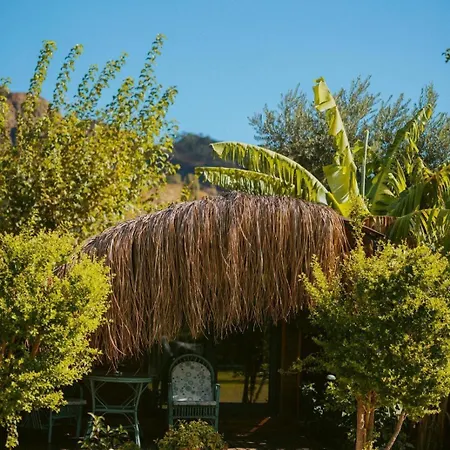 Guest house Turkuaz