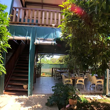 Turkuaz 3* Çıralı