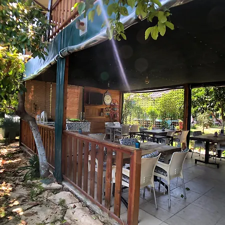 Turkuaz 3* Çıralı