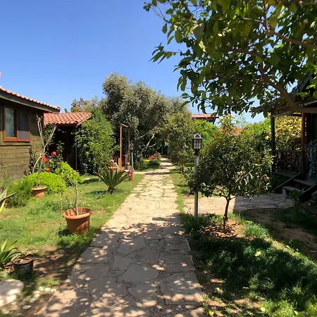 Pensión Turkuaz Çıralı