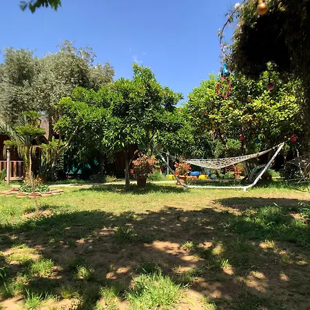 Vendégház Turkuaz Çıralı