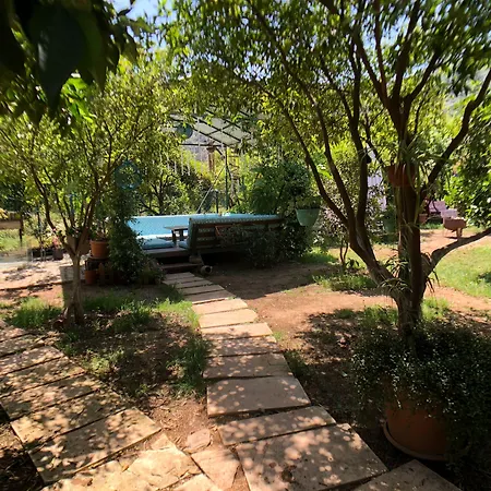 Pensión Turkuaz Çıralı