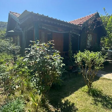Casa de hóspedes Turkuaz Çıralı