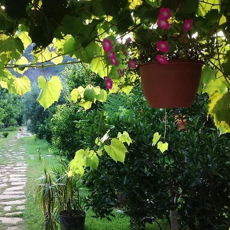 Turkuaz Guest house