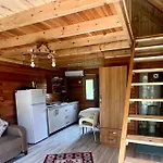 Turkuaz Çıralı