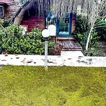 Turkuaz Çıralı