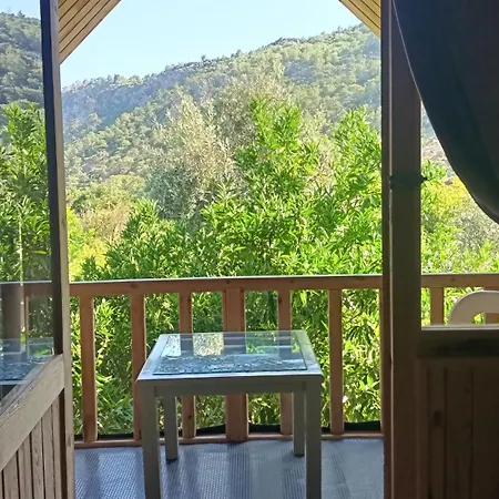 Turkuaz Çıralı